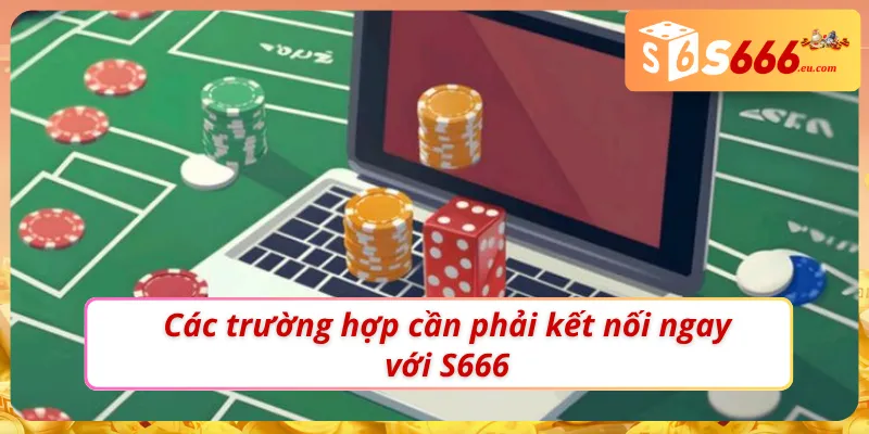 Liên Hệ S666 - Hướng Dẫn Giải Quyết Nhanh Gọn Mọi Vấn Đề 2 Các trường hợp cần kết nối