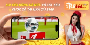 Soi Kèo Bóng Đá Đức