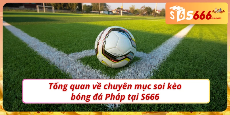 Sơ lược về chuyên mục Soi kèo bóng đá Pháp tại S666