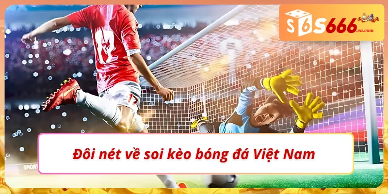 Điểm đặc biệt khi chọn soi kèo bóng đá Việt Nam
