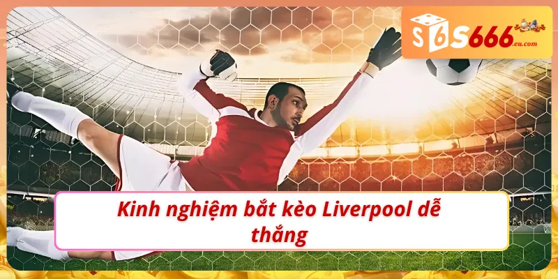 Soi kèo Liverpool chuẩn để chọn và vào kèo hiệu quả