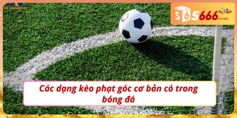 03 dạng kèo phạt góc cơ bản tại S666